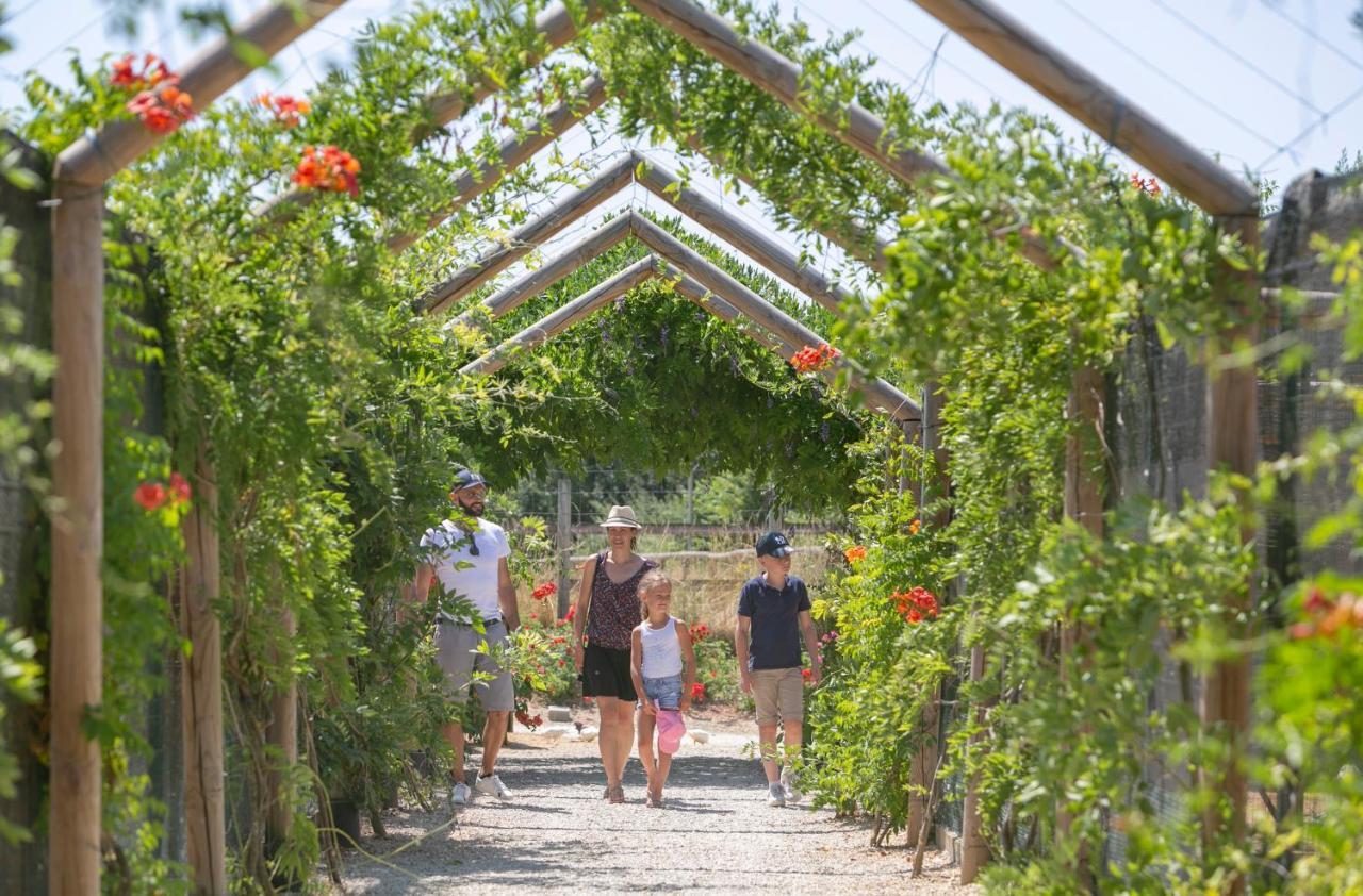 Village Vacances - Defiplanet' Dienné Exteriör bild